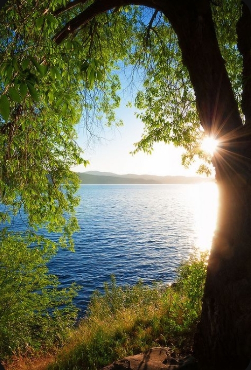 Serenity in All Seasons : Summer Sunshine