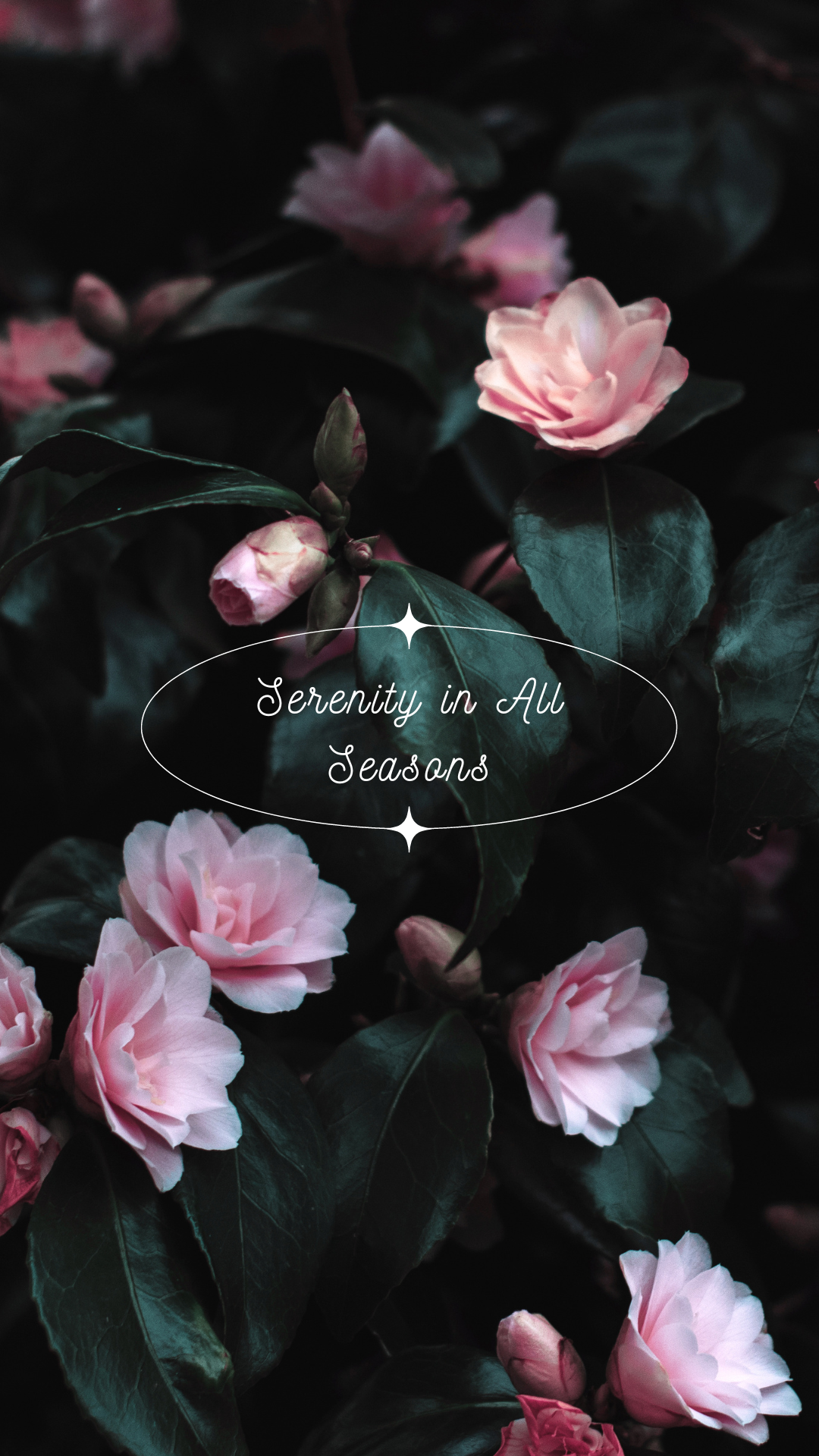 Embracing Serenity: Finding Peace in all Seasons ~